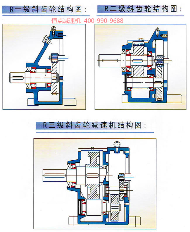 R系列斜齒輪減速機内部結構彩圖